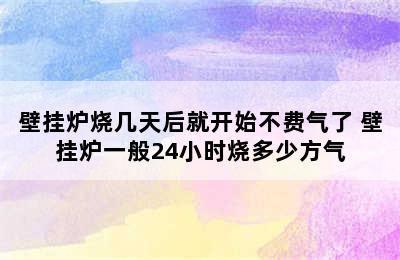 壁挂炉烧几天后就开始不费气了 壁挂炉一般24小时烧多少方气